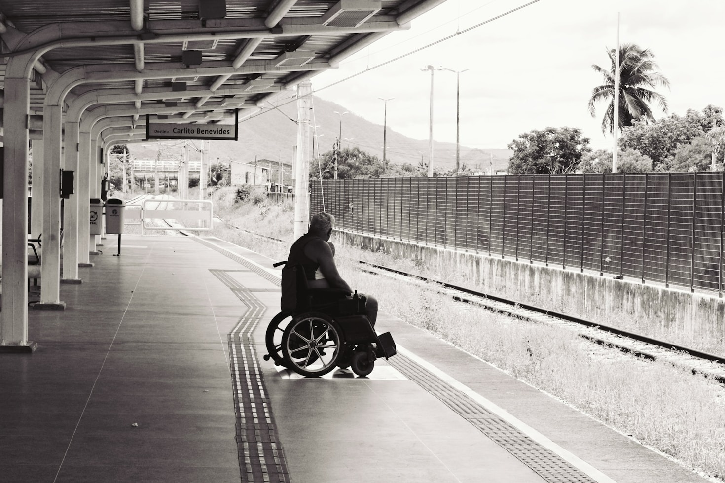 How Disability Pride is Reshaping Communities Nationwide