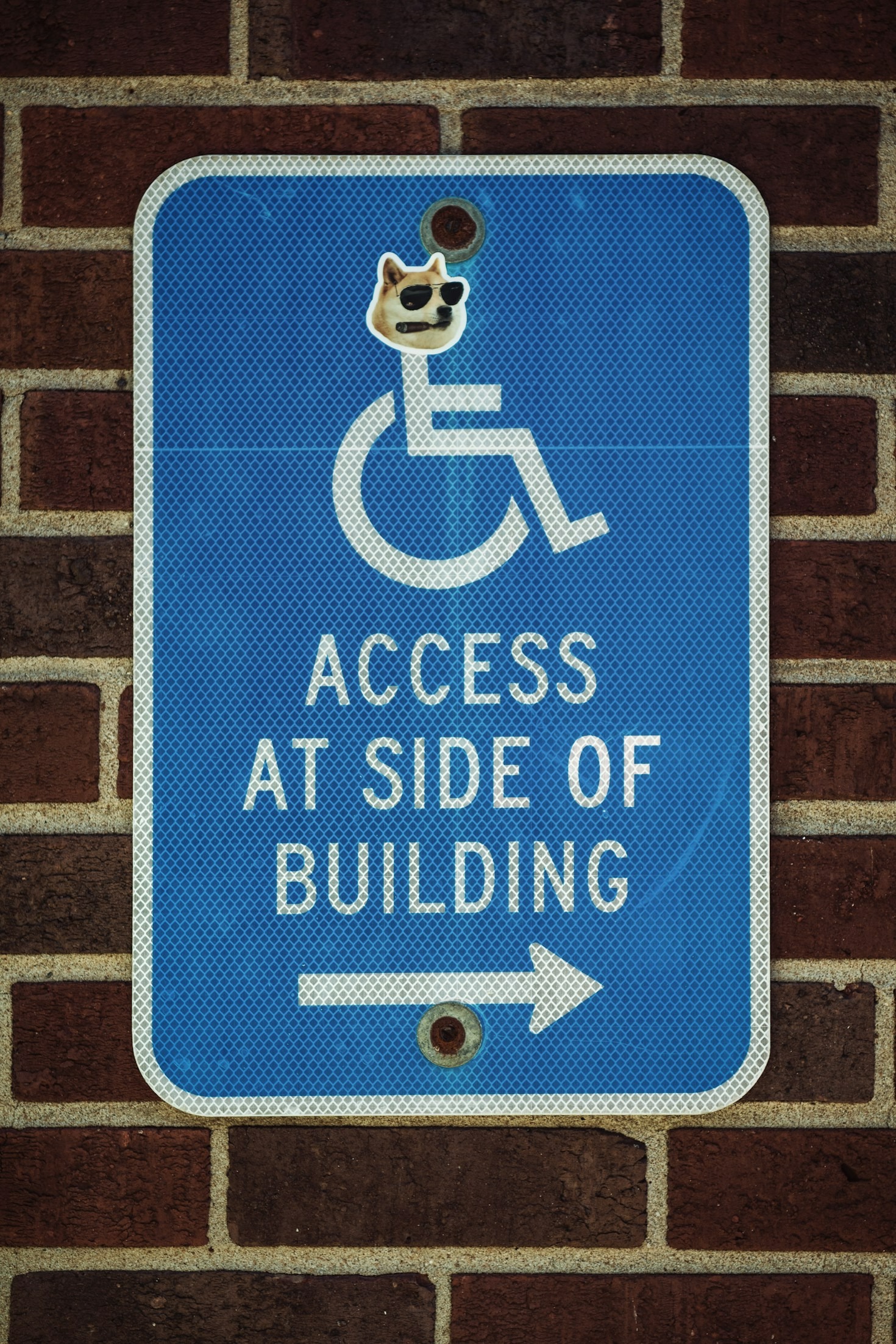 How to Support Disability Pride in Your Local Community